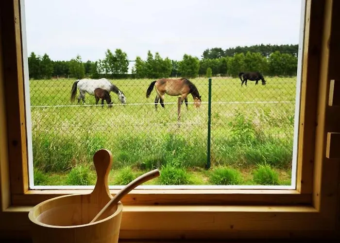 Semesterbostad Sloneczny Zakatek Slajszewo